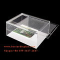 Popular design Plexiglass PMMA acrylic reptile display case