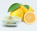 lemon juice Lemon Powder 2