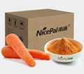 Factory supply carrot powder,vegetable