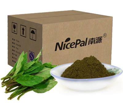 Vegetable juice hainan calcium rich vegetable powder