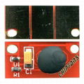 Epson AcuLaser M1200 Chip 1