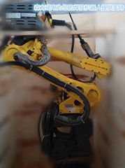 Fanuc robot