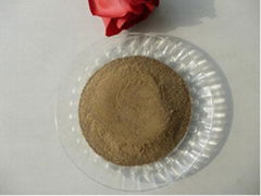 Kelp Extract Powder