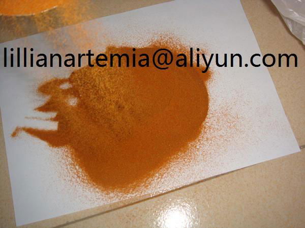  Red color artemia cysts made in china high hatching rate 2