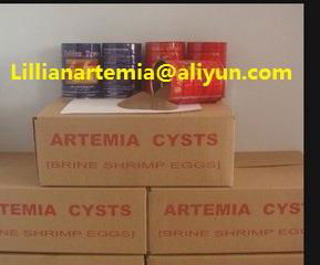 Fish Feed Manufacturer Supply Dried Artemia Cysts