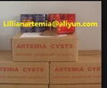 Fish Feed Manufacturer Supply Dried Artemia Cysts