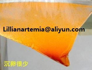 Fish Feed Manufacturer Supply Dried Artemia Cysts 3