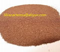 fat powder for high protein animal feed concentrate for fish meal 2