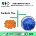 Gardenia Blue