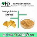 Ginkgo Biloba Extract