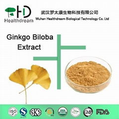 Ginkgo Biloba Extract