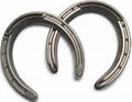 Carbide Horseshoe Studs