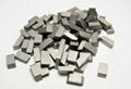 Tungsten Carbide Saw Tips 1