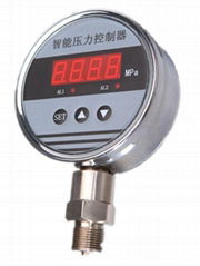 LD194 Digital Pressure Gauge