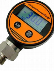 LD198 Digital Pressure Gauge