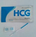 Urine Pregnancy Test Strip Kits with