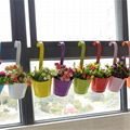 coloreful hanging flower pot & basket 1