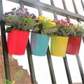 coloreful hanging flower pot & basket 5