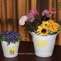 full coating flower pot 2