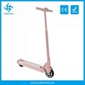 250W 36V 2 wheel Adults electrical scooter foldable Off Road escooter 5