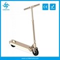 2017 New design Mini Foldable Electric Scooter for Adult 4