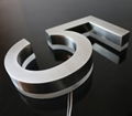 High Quality Hot Sell Lighting 3d Epoxy Resin Channel Letter Sign from Janet Sig 1