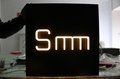 Custom Made Decoratice Company Logo 3D Led Neon Channel Letter Outdoor and Indoo 2