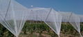 high quality anti hail net insect net 1