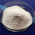 Pharma Grade Ethyl Cellulose EC 1