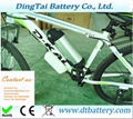 48v 10ah li-ion bottle dolphin ebike battery 350w 500w battery