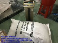 DESICCATED COCONUT POWDER - HIGH FAT TYPE