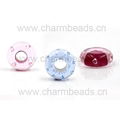 Wholesale European Murano Beads fit for Bracelet Accessories 5