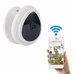 Wireless WPS Security Surveillance Mini