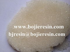 Strong basic anion exchange resin