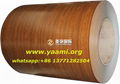 Prepainted galvanized steel coil(PPGI)/wood grain ppgi 1