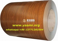 Prepainted galvanized steel coil(PPGI)/wood grain ppgi