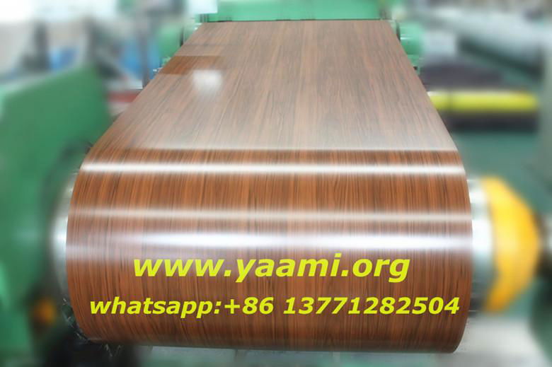 Prepainted galvanized steel coil(PPGI)/wood grain ppgi 3