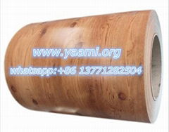 Wood grain  printed PPGI for buliding material