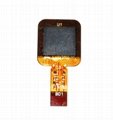  USB Biometric Readers fingerprint module Scanner