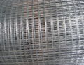 High Quality 2.5mm Bwg10 Green Pvc Coated Welded Mesh Panel