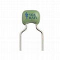 Dipped Radial Ceramic Capacitor -C0G