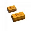 Molded Surface Mount Ceramic Capacitor 1