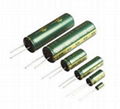 Electric Double Layer Capacitors CSD01