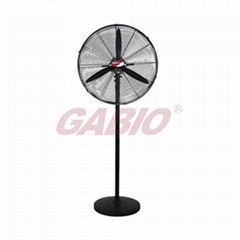 Stand Fan