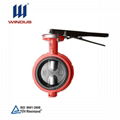 Butterfly Valve