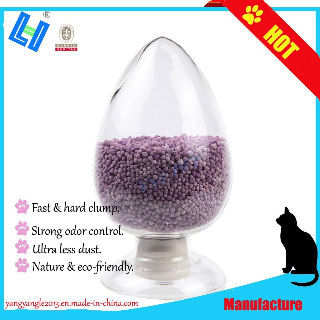 super odor control bentonite cat litter 5