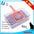 Tofu cat litter 4