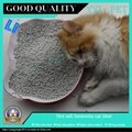 strong clump and scented bentonite cat litter