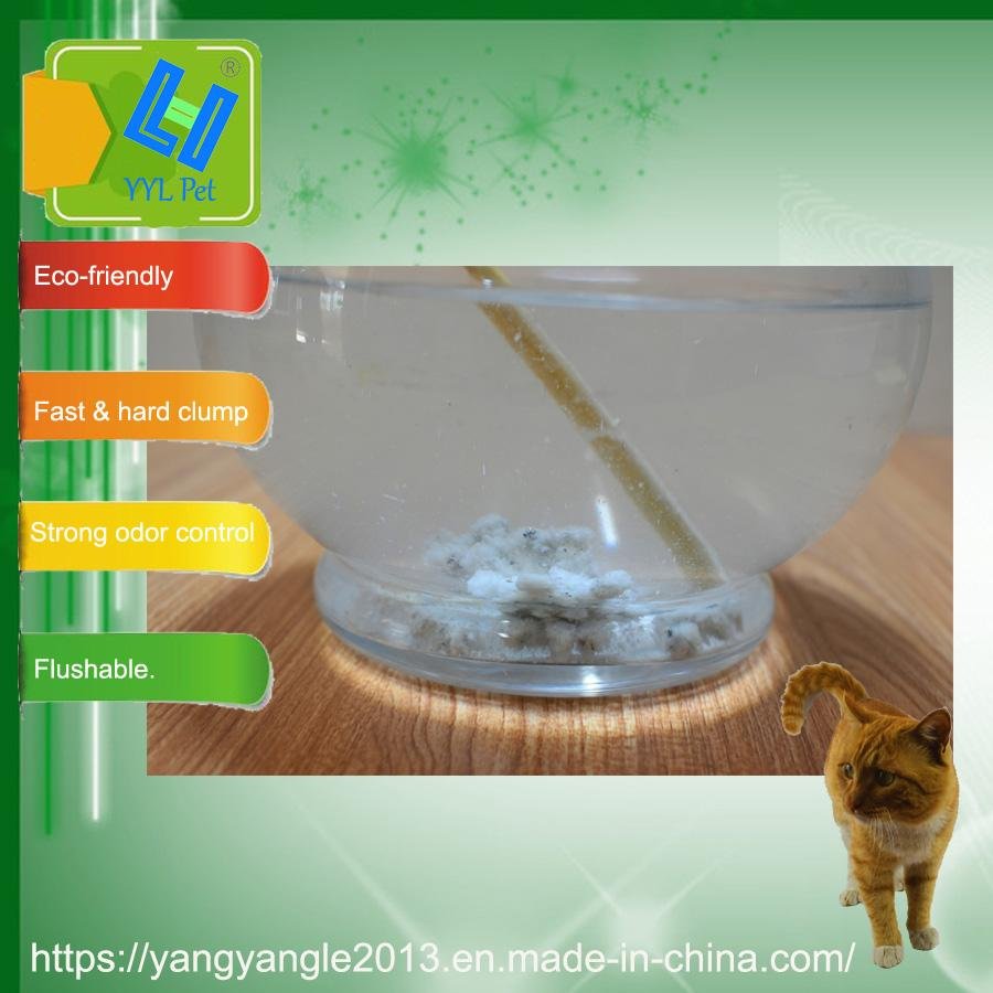 Tofu cat litter--active carbon 5