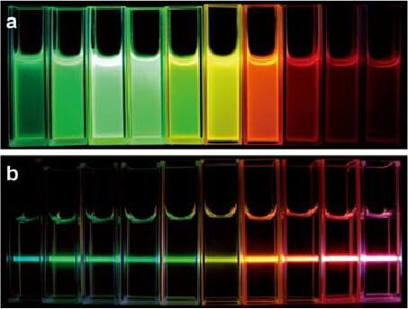 Water-soluble CdTe QDs(Carboxyl modified) 